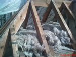 Hand made clay tile roofing in the New Forest from Harris Roofing Limited