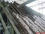 Hand made clay tile roofing in the New Forest from Harris Roofing Limited