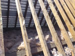 Machine made clay tile roofing in the New Forest from Harris Roofing Limited.