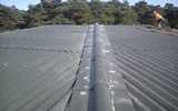 Custom roofing project in the New Forest