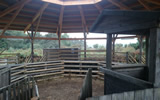 Custom roofing project in the New Forest
