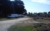 Custom roofing project in the New Forest