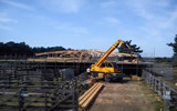 Custom roofing project in the New Forest