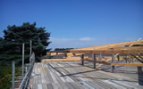 Custom roofing project in the New Forest