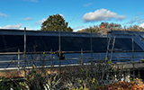 New forest roofing company - Roof reslate tiles